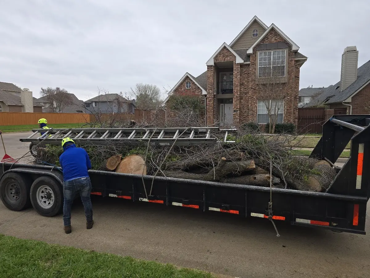 Expert Lot Clearing with proper safety equipment in Elsmore